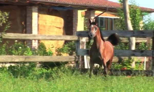 Leilany Le Soleil